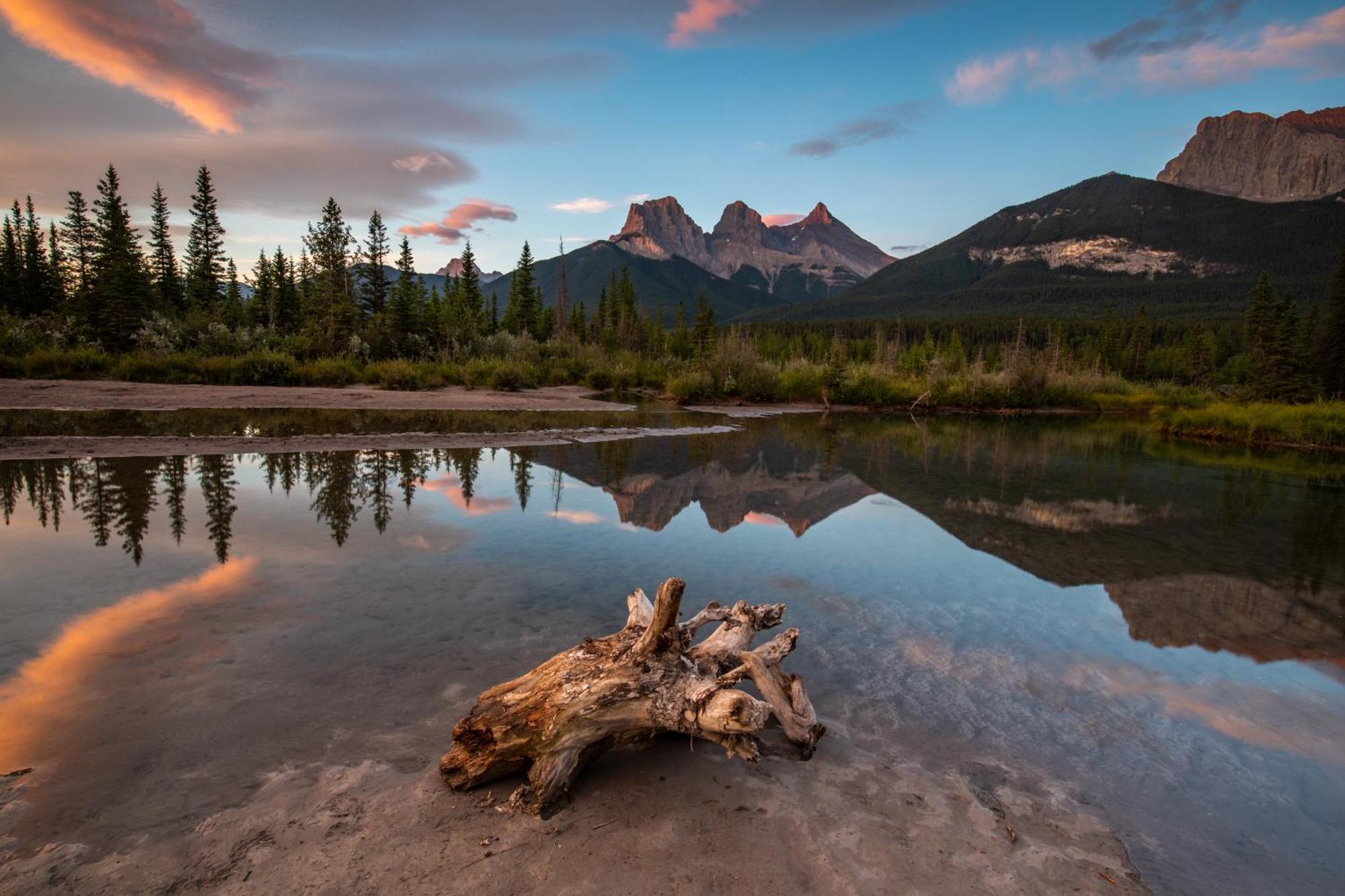 A Bear And Bison Country Inn Canmore Eksteriør billede